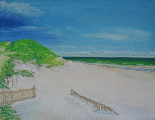 岡部勝　Ｆ５０　亀の海岸